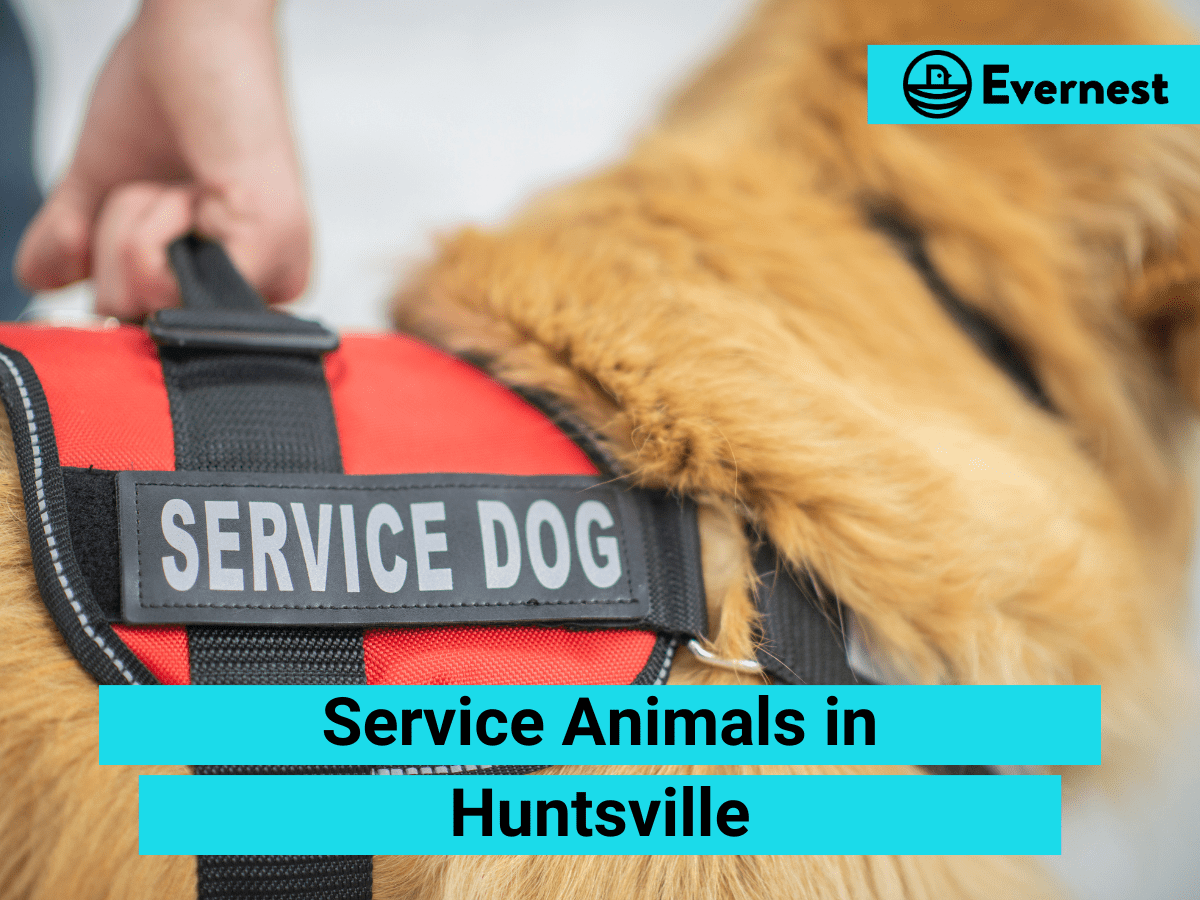 Service Animals: Everything Landlords Need to Know in Huntsville, Alabama